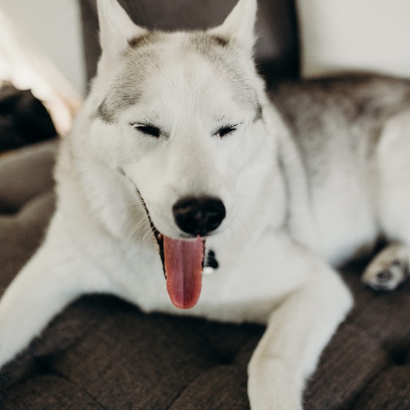 Meet your Posher, Stephanie - Picture 1 of 1